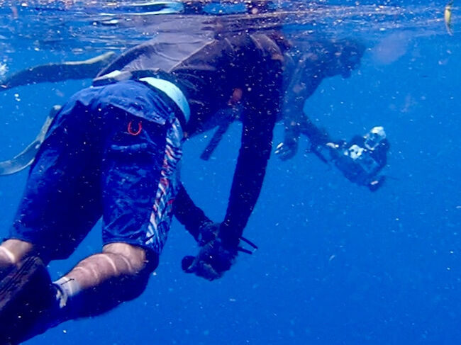 沈没船のポイントに着きました。<br />フリーダイバー達は息を整える為に、<br />静かに海に浮かびます。