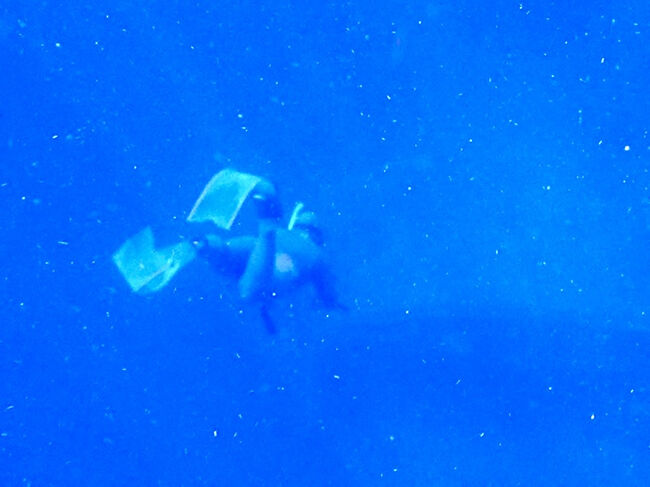 潜水開始。<br />フリーダイバー達は、15m程の深みに潜って行きます。