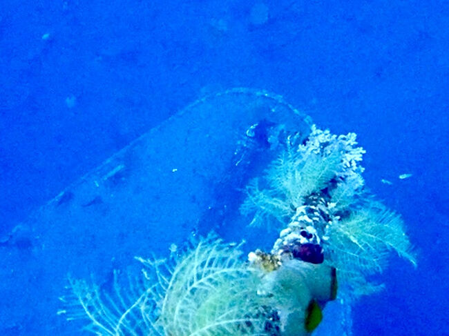 ロープに従って潜って行くと、<br />海の底に船の影が現れます。