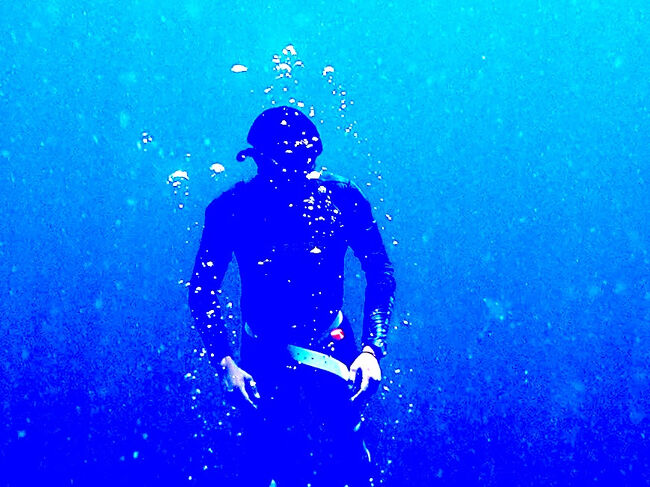 海の上に登るフリーダイバーと