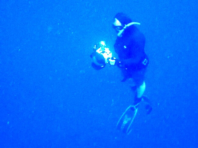 それを撮るカメラマン。