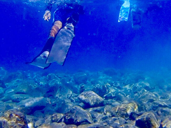 浜辺に戻って、