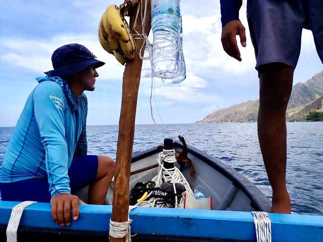 海岸沿いに船を走らせると、<br />(掲載許可済み)