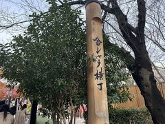 お昼頃に皆んなと合流して、先ずは名古屋城下の【金シャチ横丁】へ。