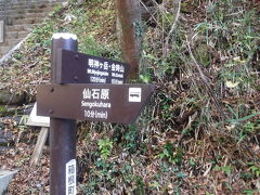 登山道が始まります