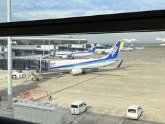 中部国際空港到着、搭乗します