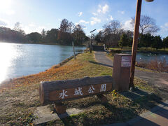 ここはいい公園ですね。鴨も泳いでいました。