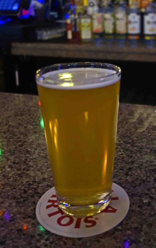 グースを注文すると、<br />「普通の奴かい？　ライトな奴かい？」と。<br />グースにライトタイプがあることは知りませんでしたが所謂普通のグース（ＩＰＡ）を頂きます。