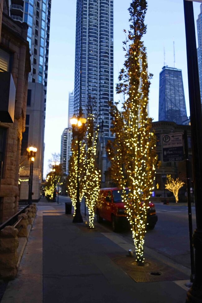 昨日同様に１．５ブロック先の地下鉄駅に向かおうとしましたが・・・<br />外へ出た途端に猛烈な寒さ。<br />あとで得た情報では５°Ｆ程度だったと言いますから摂氏ではマイナス１５°。<br />北海道の中央部では当たり前の気温と思いますが、私のなかでマイナス１５°をイメージする風景は雪と氷の世界です。　しかしシカゴのマイナス１５度は雪も氷もなく乾燥した街にただ冷たい風が吹いているだけ。<br />ホテル内は２０°Ｃを超えた暖房の筈ですから外との気温差は３５°以上！！