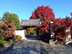神光院（ジンコウイン）　バス停神光院前で降り、南に回り込むと山門がある。朝日に映える紅葉が美しい。市内中心部より北側、山に近く気温も少し低いだろう。石碑には厄除弘法大師道、歌人蓮月尼隠栖之地　とあった。
