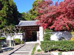 正伝寺山門　神光院から5－6分で到着。
