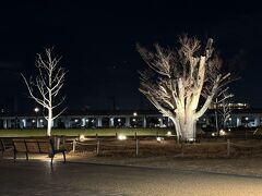 安満遺跡公園ライトアップ