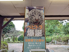 こちらに来た目的は……

ベビトラ爆誕 

だから＼(^o^)／ 

ちょうど前日に命名式が行われたばっかりで♪