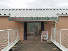 レストラン アニマルキングダム。

実は家族が先に行って席を取っておいてくれました。
あ、でも、まだ席に余裕はありましたよ。うちを含めて３組しかいなかったので。ドリンクとおつまみを買って着席。

こちらのレストランは、ホワイトタイガー舎とライオン舎の間にあって、動物を見ながら飲食できるのです。さて、ホワイトタイガーの親子はー？？