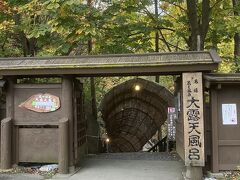 お部屋でこのままのんびりも良かったのですが、明日の雨予想を考えると、今日動いた方がいいと思い、大露天風呂へ行くことにしました。

宿の方が車で送ってくれました。ありがたい・・。
結構坂の上だったので助かりました。
割引入浴券もいただけました。

以前家族で来た時は夏。震災の年だから13年前？何も変わってませんでした。
野趣溢れる温泉で本当に素敵なところです。
時々ロープウェイが通るのが見えましたが顔までは判別出来なかったですよ。ご安心、ご安心。

お迎えにも来てくれましたが、入り口近くだと電波が入らなくて焦りました・・。
その後無事に繋がった時は涙が出るかと思った程！こういう時、一人じゃない方がいいなと思いますね。
