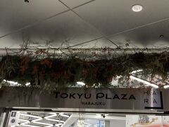 充実しています。