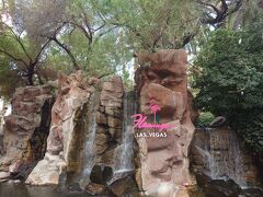 まずはフラミンゴホテルに←通り道なの