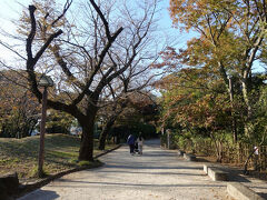 　坂道を登り、飛鳥山公園にやって来ました。桜の時期には、さぞかし賑わうんだろうな。