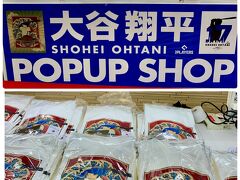 ゴールデンウィークだけれどウィークデイ
だからと思って出かけてきたがそれにしても
地下街の混雑。
混雑に拍車をかけるように
ゴールデンウィーク限定販売で
大谷翔平ショップが開設していました。
