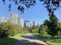 翌日も公園を散歩します。