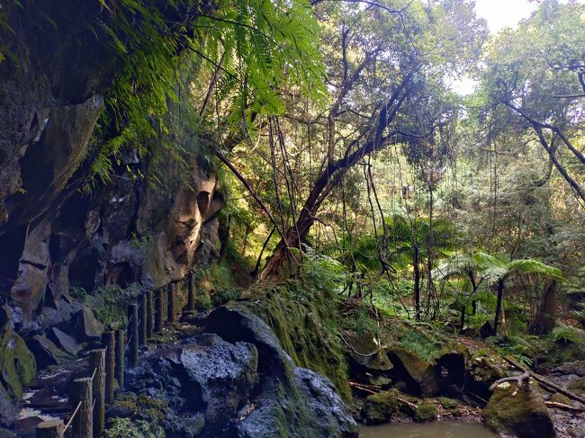 12月の八丈島は寒かった!FDAで名古屋から日帰り旅♪』八丈島 12月の八丈島は寒かった!FDAで名古屋から日帰り旅♪』八丈島