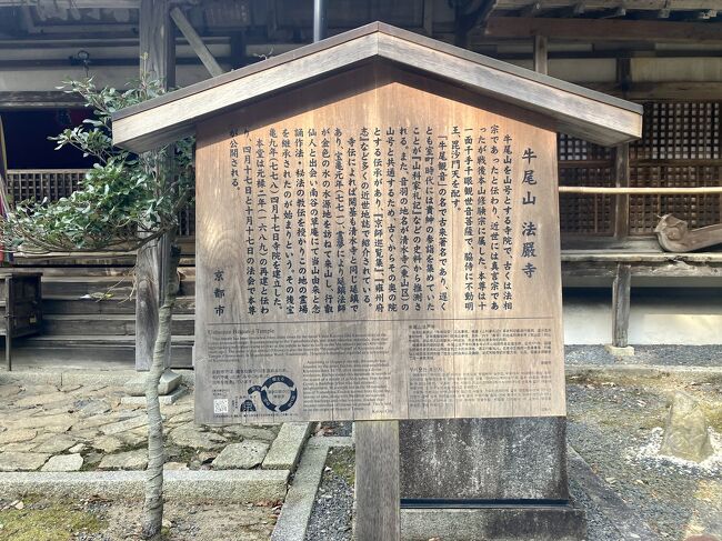 音羽の山寺 : 牛尾観音法嚴寺史／鏡山次郎 著 音羽の山寺 牛尾観音 法嚴寺史 : 鏡山次郎 | HMV&BOOKS online