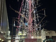 近鉄四日市駅前、近鉄百貨店前のツリー