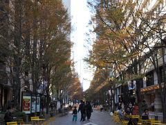 12月初旬、友人に誘われ都会の紅葉とイルミネーションを見に行ってきました♪

まずは丸の内でランチ
この日は六本木のイルミを見に行きましたが、ここ、丸の内仲通りも暗くなるとシャンパンゴールドの光が瞬きうっとりするような美しさですよね