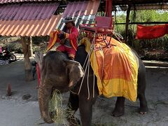 アヨタヤ水上マーケット