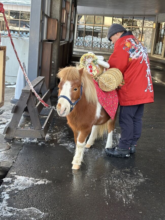 年末も有効　家族連れに新青森や弘前なら家族か子供分も含めて2枚でお得。えきねっとで予約後使用可　JR東日本株主優待券 送料込 どこかにビューーン！青森へ家族旅③ ２日目弘前＆青森編／樹氷は