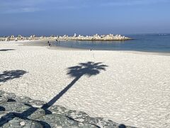 白砂に映ったヤシの木。