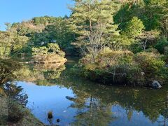 次は浄瑠璃寺から山中の道を奈良県へと入り円成寺へ。通り沿いに駐車場があり、道路を渡ると庭園があります。庭園の奥側に円成寺があります。