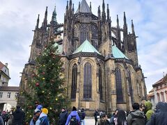 聖十字架教会裏手にツリーがあった。

プラハ城とかこのエリア一帯の見学チケットはインフォメーションで買えるらしいが、一番近いところのは混んでた。ちょっと離れたところのは空いてた。
今回はマルクト巡りがメインなので、次回の課題に。