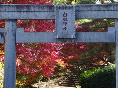 バスで5分くらい、目指す白根神社。境内に滝や渓流、湧水がある。
周辺は白根公園と旭区立図書館。