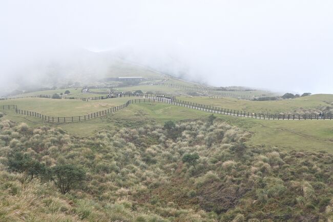 一番距離がありそうな「日人路」を通り金包里大路城門へ向かいます。<br />環形歩道を使うと木道のような道になっていました。<br />景色から寒さがわかると思います。<br /><br />このあたりは山の少し高いところという感じで苔とかはなく、草原地帯な感じです。