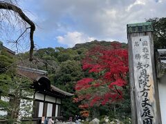 国指定特別名勝の方丈庭園　こちらは拝観料が必要です