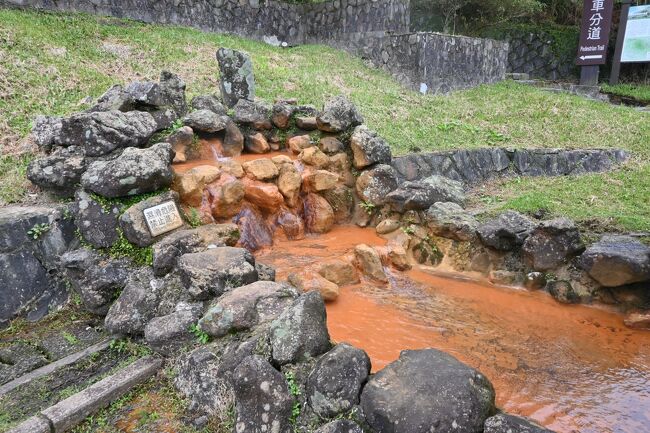 牛肉麺で温まった後は、歩いてすぐのところにある温泉を見に行きました。<br /><br />帰りは小15のバスを使います。<br />ここからが失敗でGoogle mapに頼ってしまいました。<br />台湾搭公車のアプリを使うべきでした。<br /><br />GoogleMap予定の14:19にバスは来ず、来たのはその次の14:45のバス。寒い中30分待つ羽目になりました。<br />14:19のバスは存在していなかったようです・・・<br /><br />便数が多い都市部はGooglemapでおおよその目安になりますが、本数の少ない地方では公式なものをつかうべきと改めて実感。
