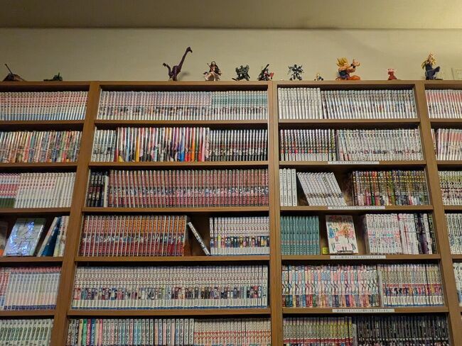 サブカルの街ならでは、ドーミーぶんこの蔵書数すげえ。