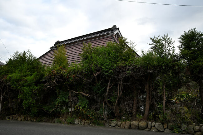 2024 柘植町散歩』伊賀・上野(三重県)の旅行記・ブログ by nao 2024 柘植町散歩』伊賀・上野(三重県)の旅行記・ブログ by nao