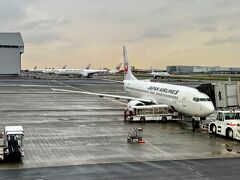 往路はJALで「出雲縁結び空港」へ、フライト時間は1時間30分
出雲大社行きのバスは１時間に１本の出発、空港出口を出て左側にバスのチケット売り場（自販機）があり、先に購入してからバスに乗ります。結構並びますが、バスが満員になっても２台目、３代目のバスがありますのであせらなくても大丈夫です。

