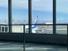 今回は珍しくANAで出発。
伊丹行き12:00発ですが、15分くらい遅れました。