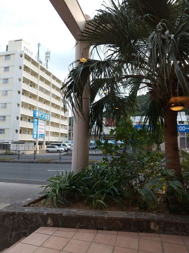 風は強いけれど、天気はまあまあ良さそう。<br />国頭村森林公園に向かいます。<br />大石林山と迷いましたが、辺戸岬まで行くのが面倒に感じられたので、あまり情報がないものの、国頭村森林公園に行くことにしました。