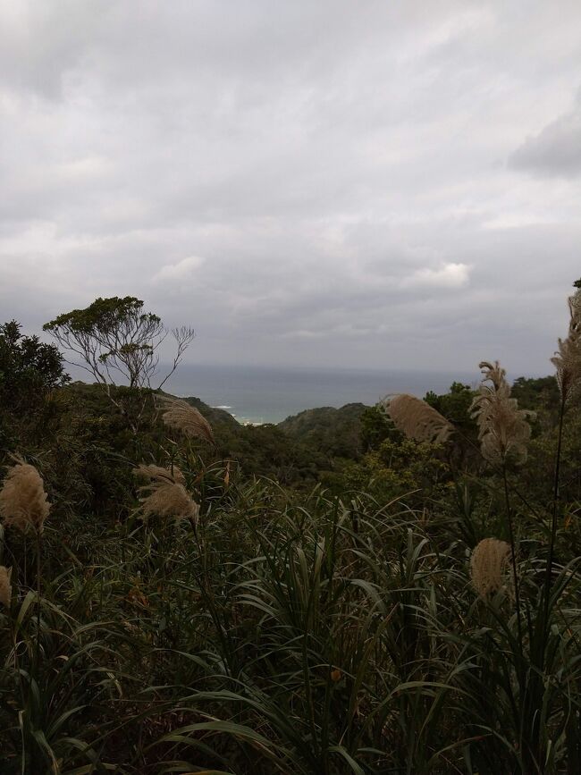 個人での散策は無料です。<br />※ガイドさんを付けて行くこともできるようです。