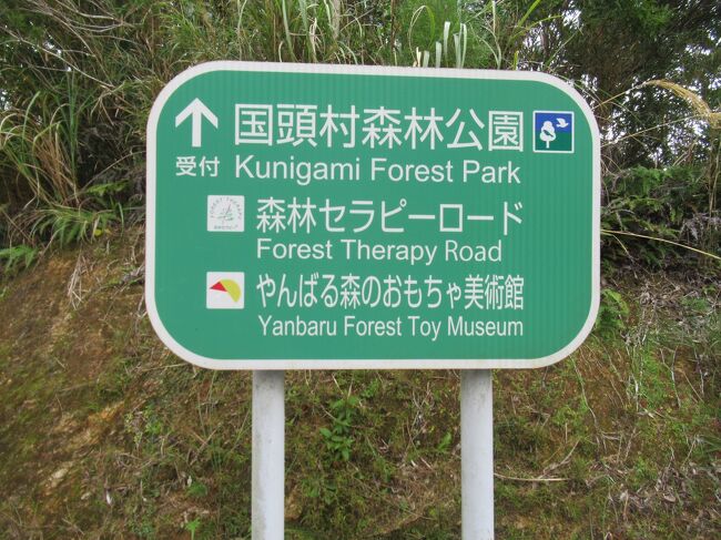 国頭村森林公園に来ました。<br />ちょっと山の奥に入っていくので、ここに着くまでの道がわかりにくいですが、ナビ通りに行けば、すれ違いのできる道路なので観光客でも大丈夫です。