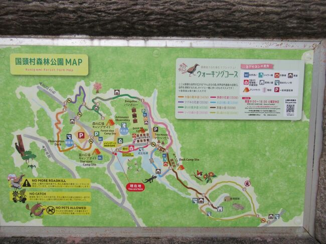 上の方のウォーキングコースを一周します。<br />下の方のコースには行きません。