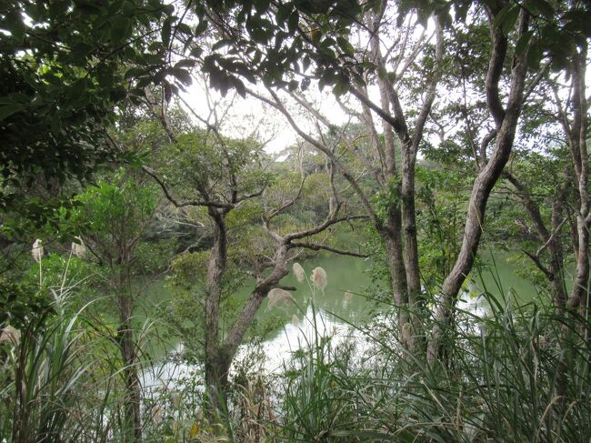 途中の景色は変化があります。