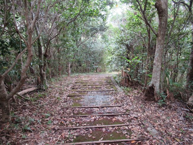 山登りのような「ずっと登り」ではないのですが、ちょっとしたアップダウンを繰り返すので、一周するならそれなりに体力が必要です。<br />今回は普通のスニーカーで行きましたが、ぬかるんでいるときは登山靴でもいいかもしれません。