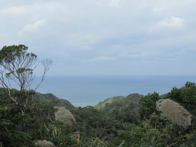 一瞬、眺めのいいところに出ます。