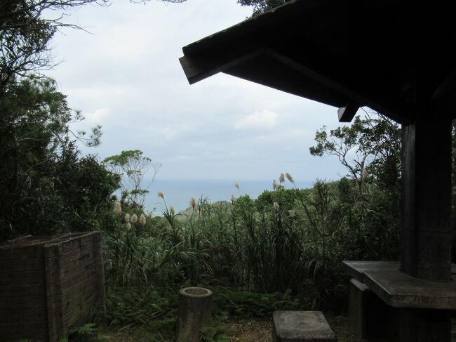 この日はお天気がそれなりで良かったです。