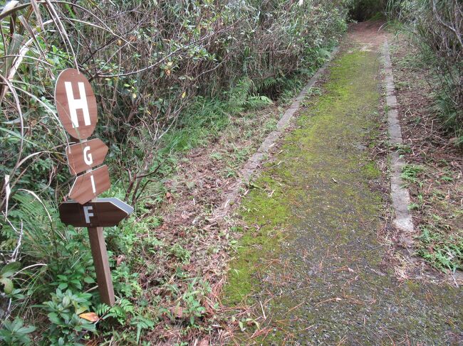 ショートカットすることもできます。